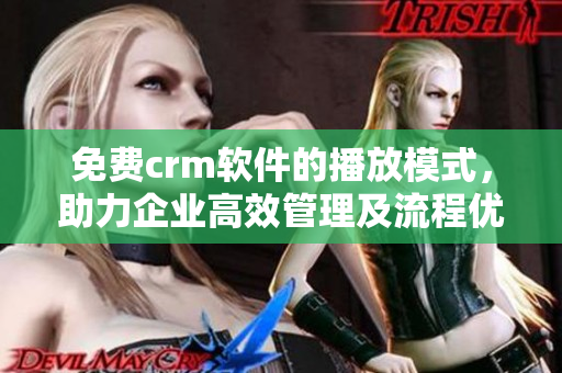 免费crm软件的播放模式，助力企业高效管理及流程优化