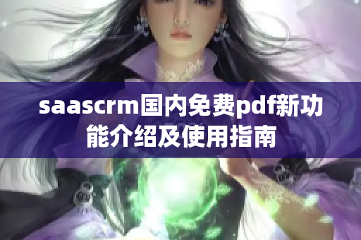 saascrm国内免费pdf新功能介绍及使用指南