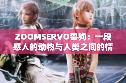 ZOOMSERVO兽狗：一段感人的动物与人类之间的情感纽带深度分析