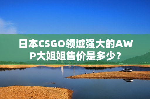 日本CSGO领域强大的AWP大姐姐售价是多少？