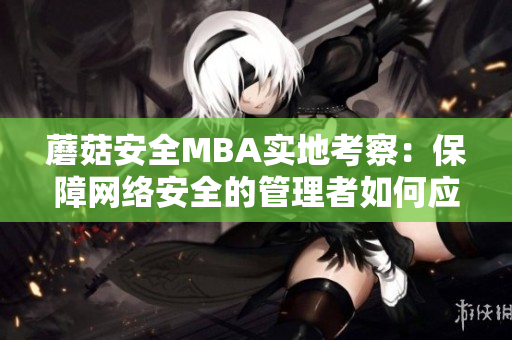 蘑菇安全MBA实地考察：保障网络安全的管理者如何应对挑战？