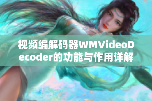 视频编解码器WMVideoDecoder的功能与作用详解