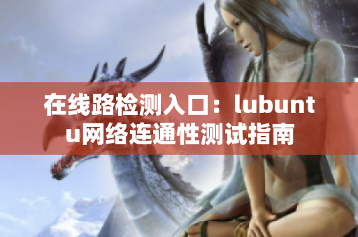 在线路检测入口：lubuntu网络连通性测试指南