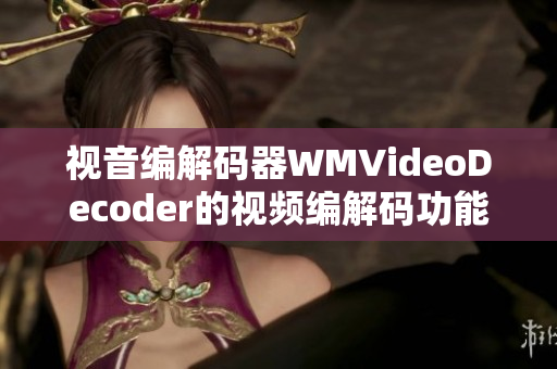 视音编解码器WMVideoDecoder的视频编解码功能