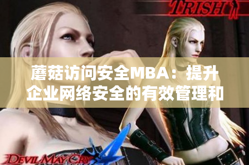 蘑菇访问安全MBA：提升企业网络安全的有效管理和保护