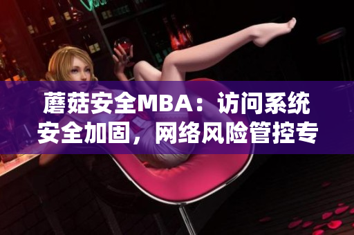 蘑菇安全MBA：访问系统安全加固，网络风险管控专家分享经验