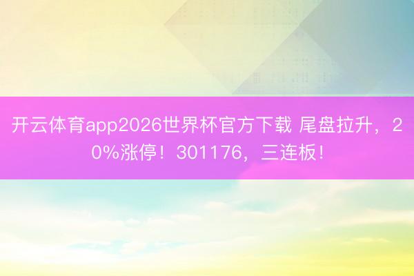 开云体育app2026世界杯官方下载 尾盘拉升，20%涨停！301176，三连板！