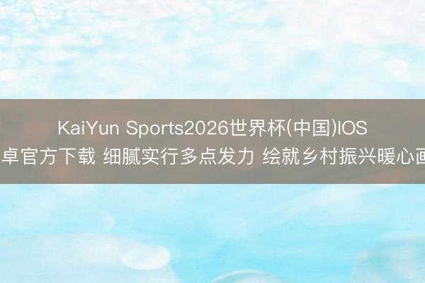 KaiYun Sports2026世界杯(中国)IOS/安卓官方下载 细腻实行多点发力 绘就乡村振兴暖心画卷